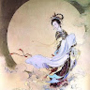 Meet your Posher, Collette